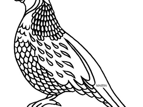 Quail clipart sketch, Picture #3117179 quail clipart sketch