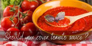 Tomato Sauce VS Ketchup - 4 Important Differences - Foodiosity