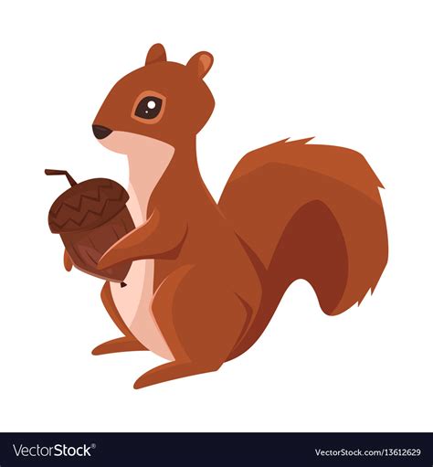 Cartoon style of squirrel with acorn Royalty Free Vector