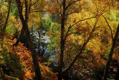 Autumn in Scotland - A Jaw-Dropping Photo Blog - Wilderness Scotland