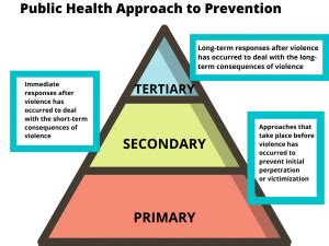 Primary secondary and tertiary prevention