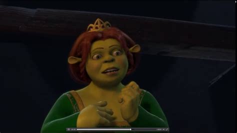 Princess Fiona Human Shrek Donkey