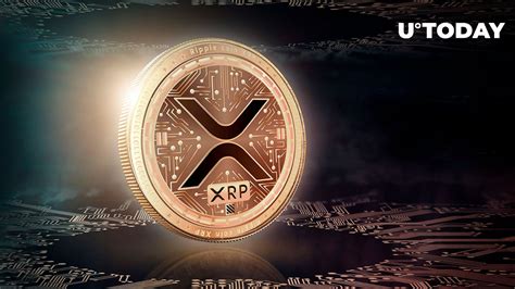 XRP Top Wallet Unveils Exciting News for XRP Holders