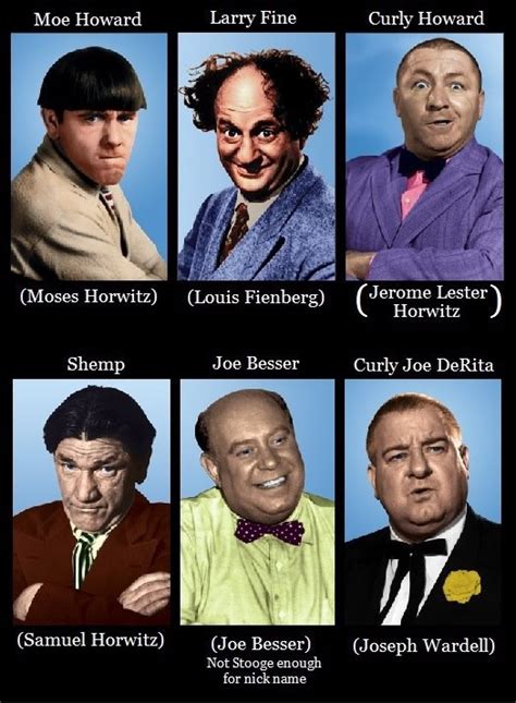 The whole Stooge family tree. | The three stooges, Classic comedies, Movie stars