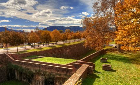 Fall in love with Lucca's walls - Walk the most beautiful city walls in ...