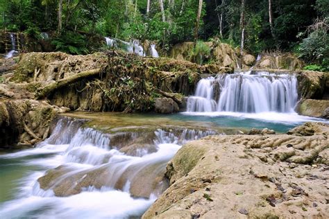 Tad Sae Waterfall (Luang Prabang) - All You Need to Know BEFORE You Go