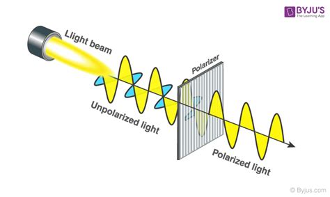 What is Plane Polarised Light?