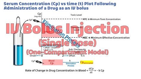 IV Bolus Injection (Single Dose) (One-Compartment Model) | Chapter 5 ...