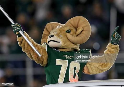 182 Colorado State Rams Mascot Stock Photos, High-Res Pictures, and Images - Getty Images