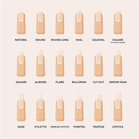 The nail shapes you need to know for the perfect mani | Formas de unhas ...