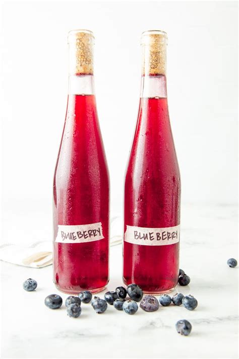 Blueberry Wine Recipe 1 Gallon | Besto Blog