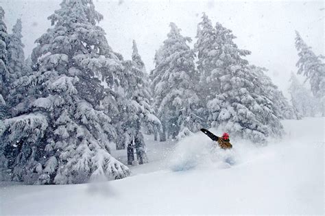 Top 20 Snowfall Totals in North America: (All With Over 400" This Season) - SnowBrains