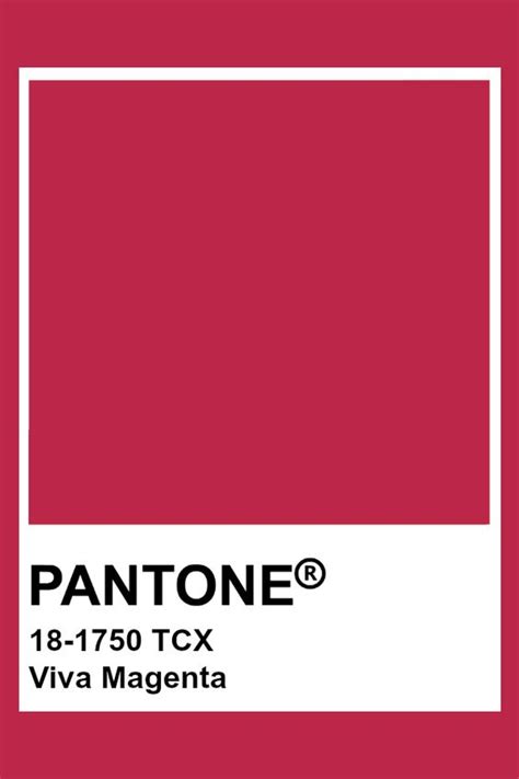 Colour Of The Year 2023 by Pantone