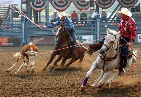 Team Roping ... one day i will do this! | Team roping, Roping horse, Rodeo time