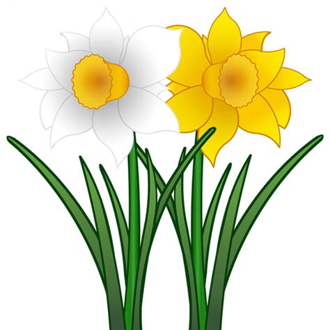 Flowers June Clipart