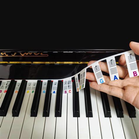 Buy Removable Piano Keyboard Note Labels, Piano Notes Guide for ...