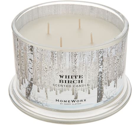 HomeWorx by Harry Slatkin Set of 2 White Birch 4-Wick Candles - QVC.com