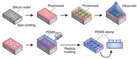 The Most Used Microfabrication Techniques in Microfluidics– Darwin Microfluidics