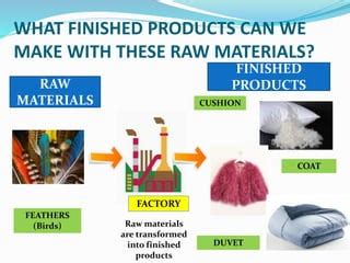 Raw materials finished products animals | PPT