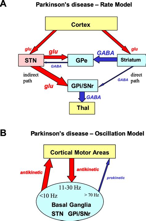 A, Schematic figure of the rate model of Parkinson's disease. The major ...