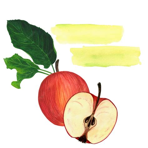 Premium Photo | A watercolor set with a red apple and green leaves an ...