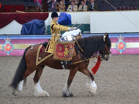 Royal Windsor Horse Show - Bed Ferret