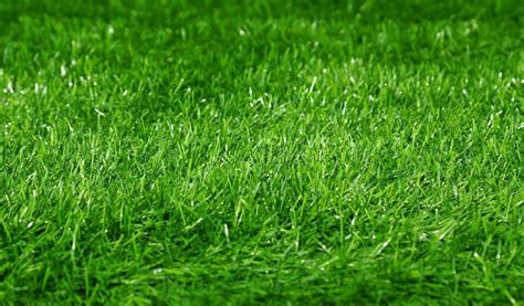 Artificial Green Grass Football Soccer Field Pitch White Stripe Close ...