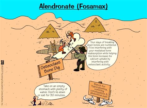 Alendronate (Fosamax) | Nursing Mnemonics and Tips | Pharmacology nursing, Nursing mnemonics ...