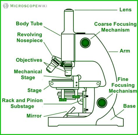 matur Produs Analist microscope diagram Serios purtător de cuvânt inginer