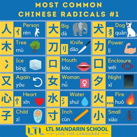 The 54 most common Chinese Radicals. Save and remember. Very useful - Mandarin 普通话 - Flexi ...