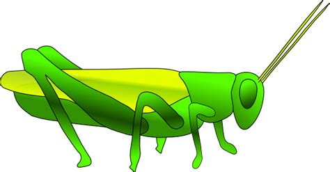 Cartoon Grasshopper Clip Art at Clker.com - vector clip art online, royalty free & public domain