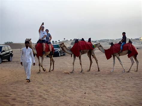 Abu Dhabi Desert Safari | Abu Dhabi Trips