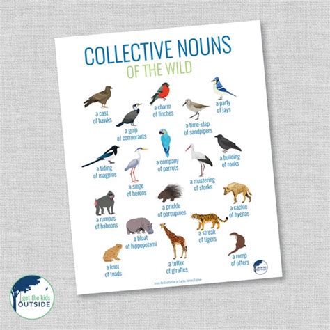 Collective Nouns PART 2 Animals & Birds Wall Art | Etsy