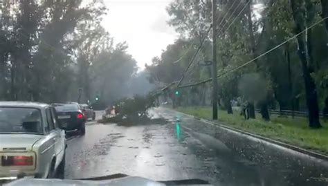 The consequences of the reckless weather that hit Abakan were filmed on video - World Today News