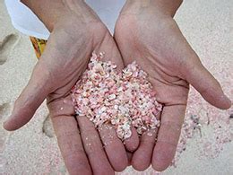 Pink Sand Beach — Harbour Island Bahamas