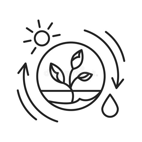 Competent Photosynthesis Black Line Icon. The Process By Which Green Plants And Certain Other ...