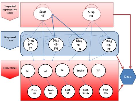 Simplified model structure of the Markov model constructed for the ...