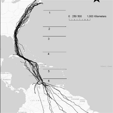 Routes of western adult Ospreys on their spring migration ( n 5 18).... | Download Scientific ...