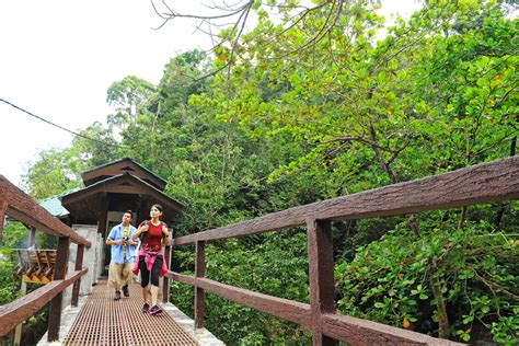 Penang National Park | Tour & Incentive Travel