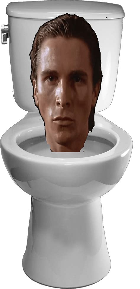 How do you like my skibidi toilet OC? | Fandom