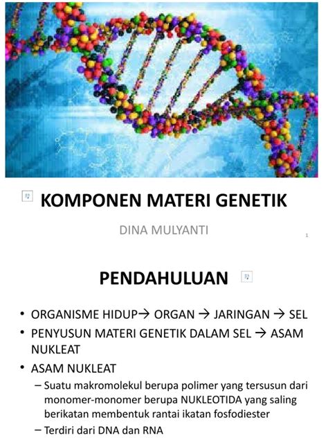 Asam Nukleat Dan Protein With Sound | PDF | Rna | Dna