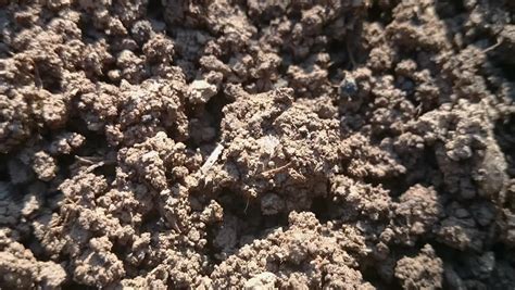 Fertile Soil Long Footage In High Resolution FullHD Footage - Fertilized Soil Close Up Long ...