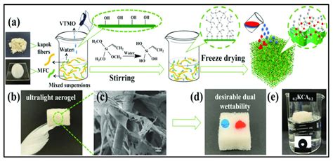 Illustration of hydrophobic cellulose-based aerogel properties: (a)... | Download Scientific Diagram