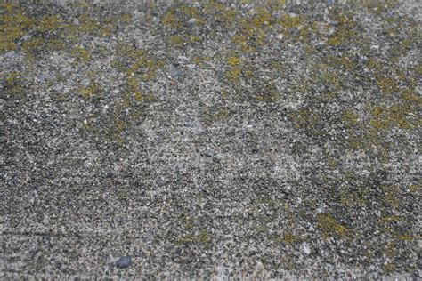 Moss growth on stained concrete wall | Brian Reynolds | Flickr