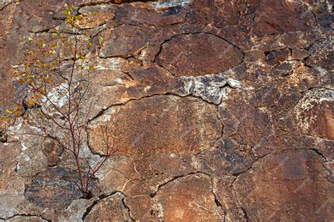 Premium Photo | Texture of a cracked stone wall for background