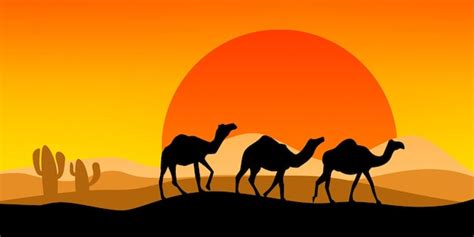 Premium Photo | Landscape with camel silhouette with sunset