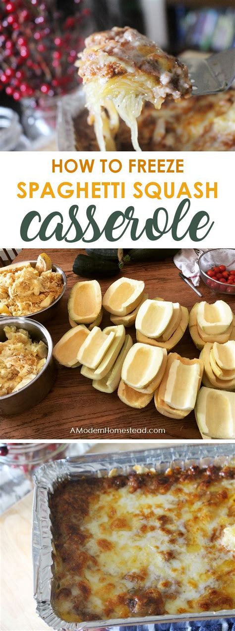 How to Freeze Spaghetti Squash Casserole | Recipe | Freezing spaghetti ...