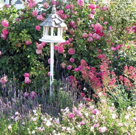 Roses for a cottage garden | West Green House Gardens