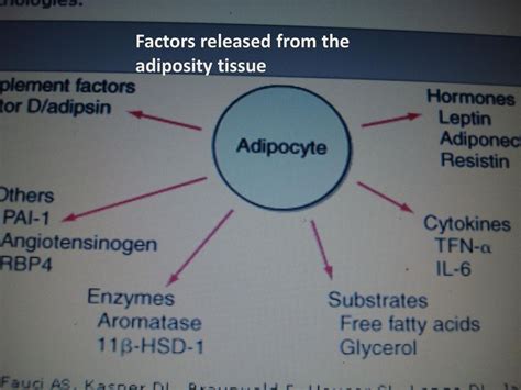 Obesity is a state of excess adipose tissue mass. BMI ≥30 obesity - ppt download