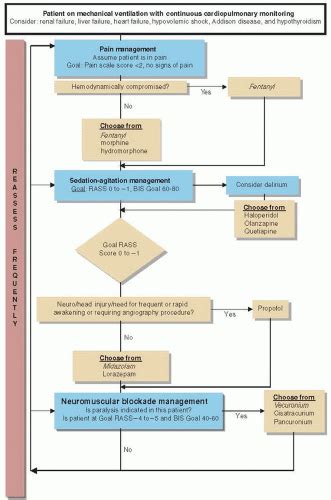 Rapid Sequence Intubation | Anesthesia Key